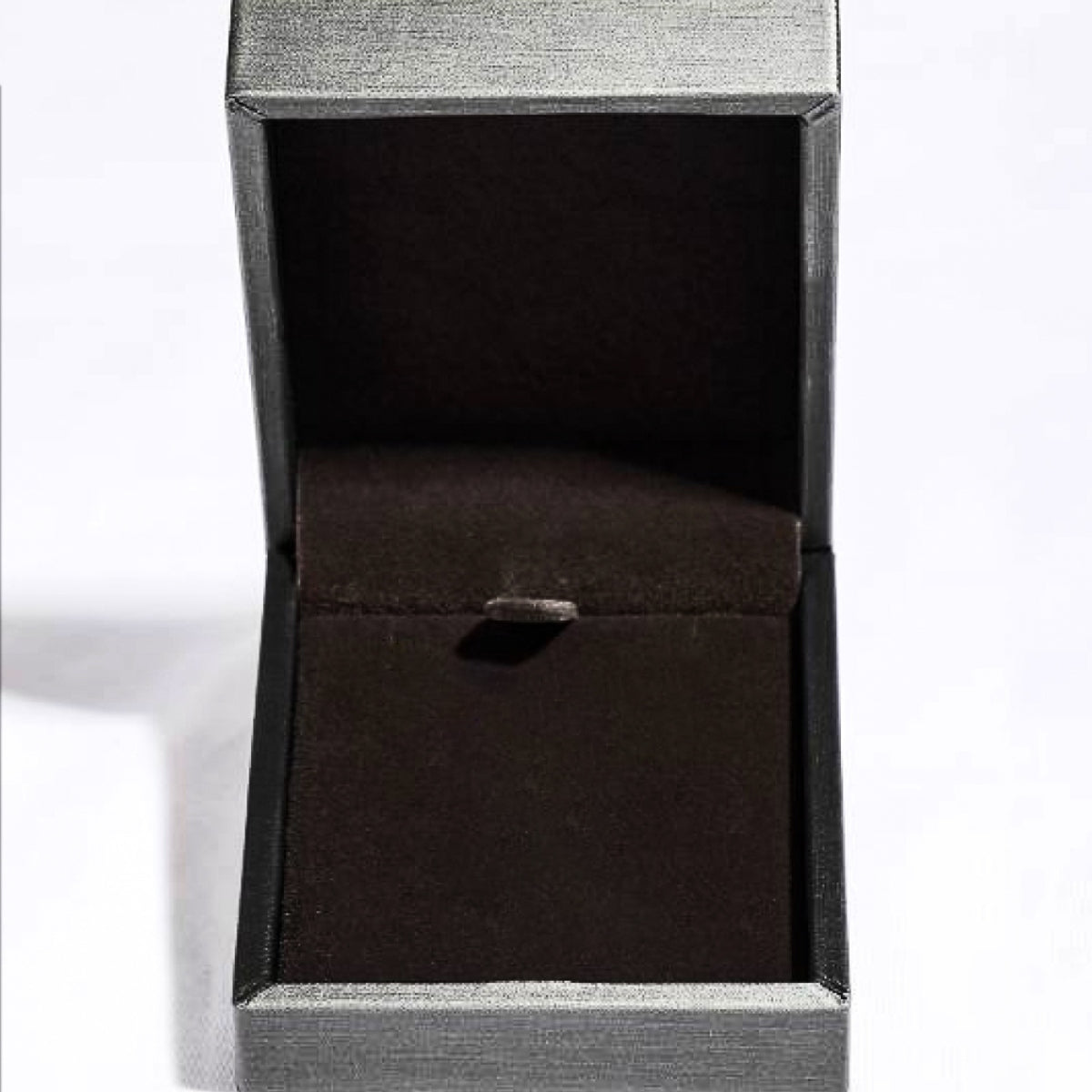 Pure Sterling Silver Inlaid Sparkala™ Moissanite Ring